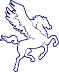 Pegasus Advies